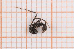  ( - RM3_1326)  @11 [ ] (by-nc-nd) (2025) Unspecified Universit&agrave; degli Studi Roma Tre