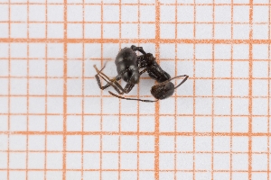  ( - RM3_1327)  @11 [ ] (by-nc-nd) (2025) Unspecified Universit&agrave; degli Studi Roma Tre