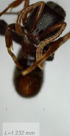  ( - YB-BCI160874)  @12 [ ] No Rights Reserved  Unspecified Unspecified