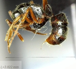  ( - YB-BCI160874)  @12 [ ] No Rights Reserved  Unspecified Unspecified