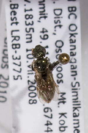  ( - LRBBC1535)  @12 [ ] CreativeCommons - Attribution Non-Commercial Share-Alike (2009) L.R.Best York University