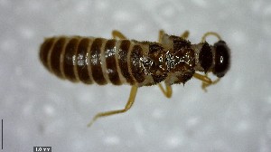  ( - YB-BCI137139)  @12 [ ] Unspecified (default): All Rights Reserved  No Rights Reserved Unspecified