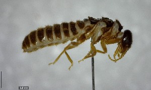  ( - YB-BCI137139)  @12 [ ] Unspecified (default): All Rights Reserved  No Rights Reserved Unspecified