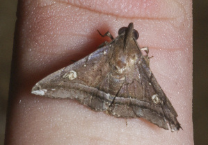  ( - YB-BCI187503)  @11 [ ] No Rights Reserved  Unspecified Unspecified