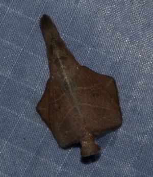  ( - YB-BCI187871)  @11 [ ] No Rights Reserved  Unspecified Unspecified