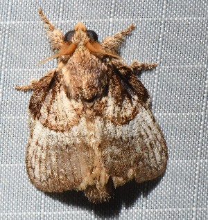  ( - YB-BCI188659)  @11 [ ] No Rights Reserved  Unspecified Unspecified