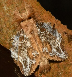  ( - YB-BCI189439)  @11 [ ] No Rights Reserved  Unspecified Unspecified