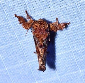  ( - YB-BCI189675)  @11 [ ] No Rights Reserved  Unspecified Unspecified