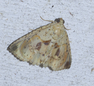  ( - YB-BCI189792)  @11 [ ] No Rights Reserved  Unspecified Unspecified