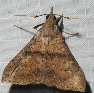  ( - YB-BCI189883)  @11 [ ] No Rights Reserved  Unspecified Unspecified