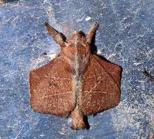  ( - YB-BCI190026)  @11 [ ] No Rights Reserved  Unspecified Unspecified