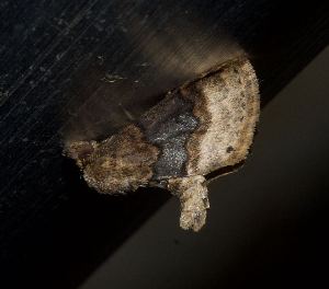  ( - YB-BCI191765)  @11 [ ] No Rights Reserved  Unspecified Unspecified