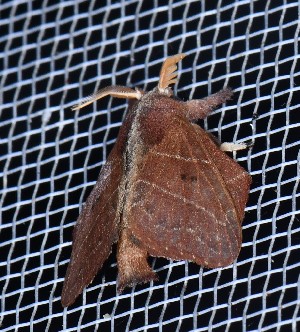  ( - YB-BCI191898)  @11 [ ] No Rights Reserved  Unspecified Unspecified