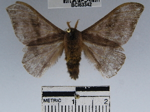  ( - YB-BCI63342)  @13 [ ] No Rights Reserved  Unspecified Unspecified