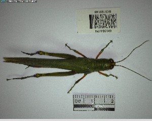  ( - YB-BCI195140)  @11 [ ] No Rights Reserved  Unspecified Unspecified