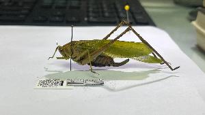  ( - YB-BCI195222)  @11 [ ] No Rights Reserved  Unspecified Unspecified