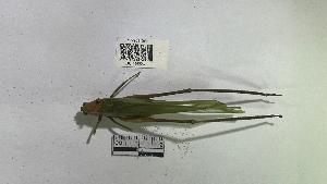  ( - YB-BCI195567)  @11 [ ] No Rights Reserved  Unspecified Unspecified