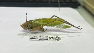  ( - YB-BCI195567)  @11 [ ] No Rights Reserved  Unspecified Unspecified