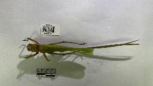  ( - YB-BCI195241)  @11 [ ] No Rights Reserved  Unspecified Unspecified