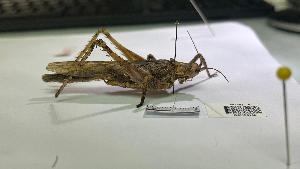  ( - YB-BCI195148)  @11 [ ] No Rights Reserved  Unspecified Unspecified