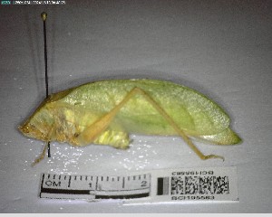  ( - YB-BCI195583)  @11 [ ] No Rights Reserved  Unspecified Unspecified