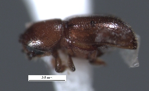  ( - SG-BCISP-4475)  @12 [ ] No Rights Reserved (2013) Unspecified NA