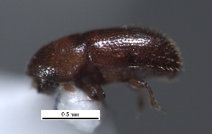  ( - SG-BCISP-4477)  @12 [ ] No Rights Reserved (2013) Unspecified NA