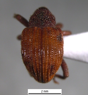  ( - SG-BCISP-5984)  @11 [ ] No Rights Reserved (2013) Unspecified n/a