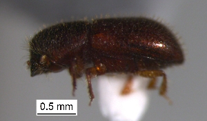  ( - SG-BCISP-9363)  @12 [ ] No Rights Reserved (2013) Unspecified n/a