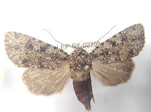  ( - LEP-SS-02709)  @11 [ ] No Rights Reserved (2023) Stefano Scalercio Consiglio per la ricerca in agricoltura e l'analisi dell'economia agraria