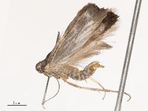  ( - CBG-B00192-F06)  @11 [ ] CreativeCommons - Attribution Share - Alike (2025) CBG Photography Group Centre for Biodiversity Genomics