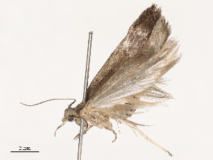  ( - CBG-B00192-G02)  @11 [ ] CreativeCommons - Attribution Share - Alike (2025) CBG Photography Group Centre for Biodiversity Genomics