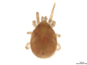  ( - CBG-B01129-G12)  @11 [ ] CreativeCommons - Attribution Share Alike (2025) CBG Photography Group Centre for Biodiversity Genomics