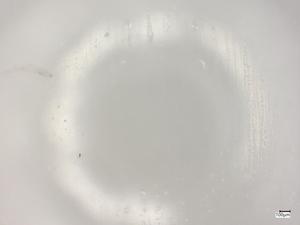  ( - CBG-B07203-H11)  @11 [ ] CreativeCommons - Attribution Share - Alike (2025) Centre for Biodiversity Genomics Centre for Biodiversity Genomics