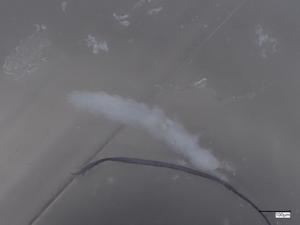  ( - CBG-B07204-C05)  @11 [ ] CreativeCommons - Attribution Share - Alike (2025) Centre for Biodiversity Genomics Centre for Biodiversity Genomics