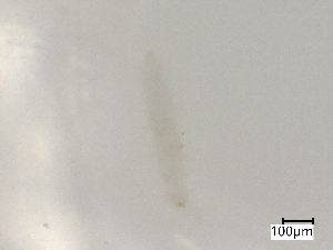  ( - CBG-B07204-C12)  @11 [ ] CreativeCommons - Attribution Share - Alike (2025) Centre for Biodiversity Genomics Centre for Biodiversity Genomics