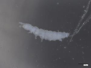  ( - CBG-B07204-D07)  @11 [ ] CreativeCommons - Attribution Share - Alike (2025) Centre for Biodiversity Genomics Centre for Biodiversity Genomics