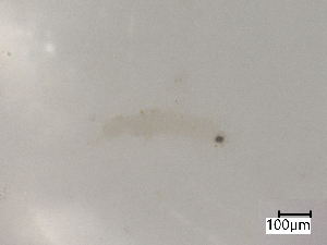  ( - CBG-B07204-D09)  @11 [ ] CreativeCommons - Attribution Share - Alike (2025) Centre for Biodiversity Genomics Centre for Biodiversity Genomics