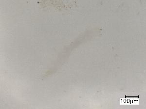  ( - CBG-B07204-D10)  @11 [ ] CreativeCommons - Attribution Share - Alike (2025) Centre for Biodiversity Genomics Centre for Biodiversity Genomics