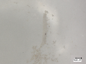  ( - CBG-B07204-E04)  @11 [ ] CreativeCommons - Attribution Share - Alike (2025) Centre for Biodiversity Genomics Centre for Biodiversity Genomics