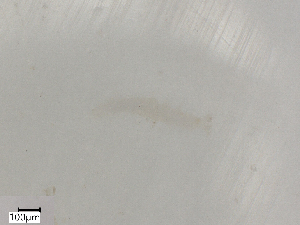  ( - CBG-B07204-E06)  @11 [ ] CreativeCommons - Attribution Share - Alike (2025) Centre for Biodiversity Genomics Centre for Biodiversity Genomics