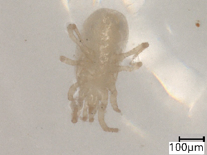  ( - CBG-B07212-H03)  @11 [ ] CreativeCommons - Attribution Share - Alike (2025) Centre for Biodiversity Genomics Centre for Biodiversity Genomics