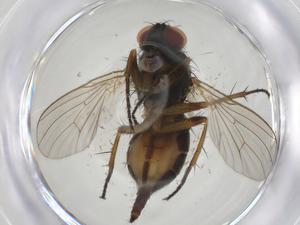  ( - CBG-A15011-E07)  @11 [ ] CreativeCommons - Attribution Share - Alike (2023) Centre for Biodiversity Genomics Centre for Biodiversity Genomics