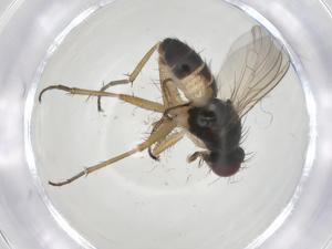  ( - CBG-A15012-D10)  @11 [ ] CreativeCommons - Attribution Share - Alike (2023) Centre for Biodiversity Genomics Centre for Biodiversity Genomics