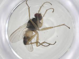  ( - CBG-A15012-E07)  @11 [ ] CreativeCommons - Attribution Share - Alike (2023) Centre for Biodiversity Genomics Centre for Biodiversity Genomics