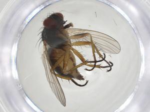  ( - CBG-A15012-G08)  @11 [ ] CreativeCommons - Attribution Share - Alike (2023) Centre for Biodiversity Genomics Centre for Biodiversity Genomics