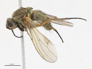  ( - CBG-A16639-B05)  @11 [ ] CreativeCommons - Attribution Share-Alike (2023) CBG Photography Group Centre for Biodiversity Genomics