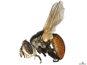  ( - CBG-A16642-B02)  @11 [ ] CreativeCommons - Attribution Share Alike (2024) CBG Photography Group Centre for Biodiversity Genomics