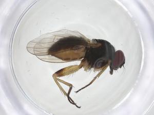  ( - CBG-A16645-H10)  @11 [ ] CreativeCommons - Attribution Share - Alike (2023) Centre for Biodiversity Genomics Centre for Biodiversity Genomics