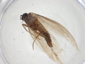  ( - CBG-A28899-H04)  @11 [ ] CreativeCommons - Attribution Share - Alike (2024) Centre for Biodiversity Genomics Centre for Biodiversity Genomics